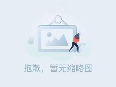 PPS除塵布袋