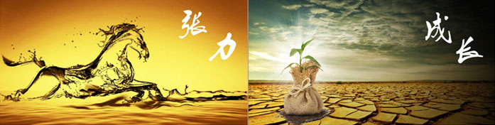 企業發展要學會(huì)取他(tā)人(rén)之長、補自己之短 企(qǐ)業發展要學會取他人之長、補自(zì)己(jǐ)之短